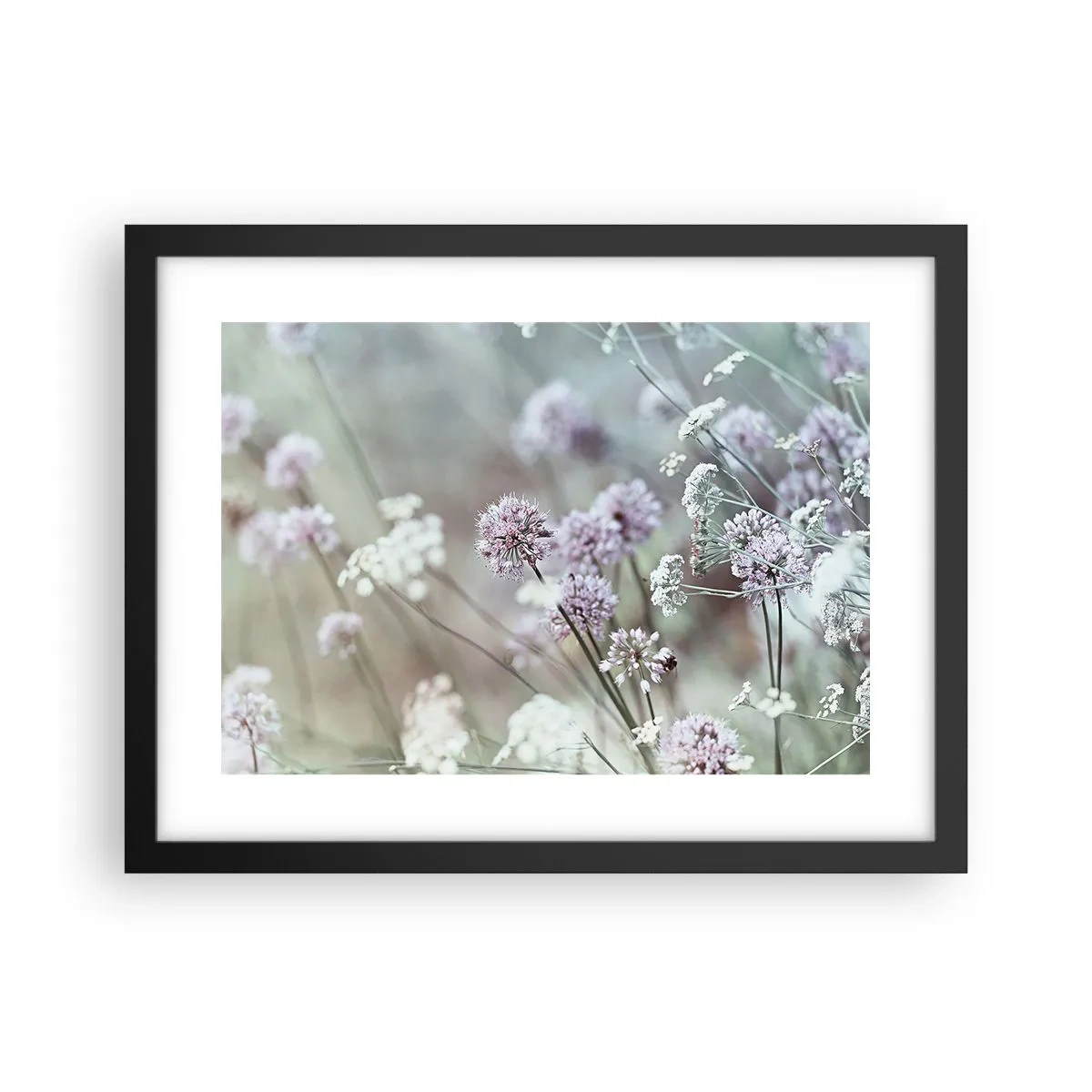 Poster in einem schwarzem Rahmen - Süße filigrane Kräuter - 40x30 cm