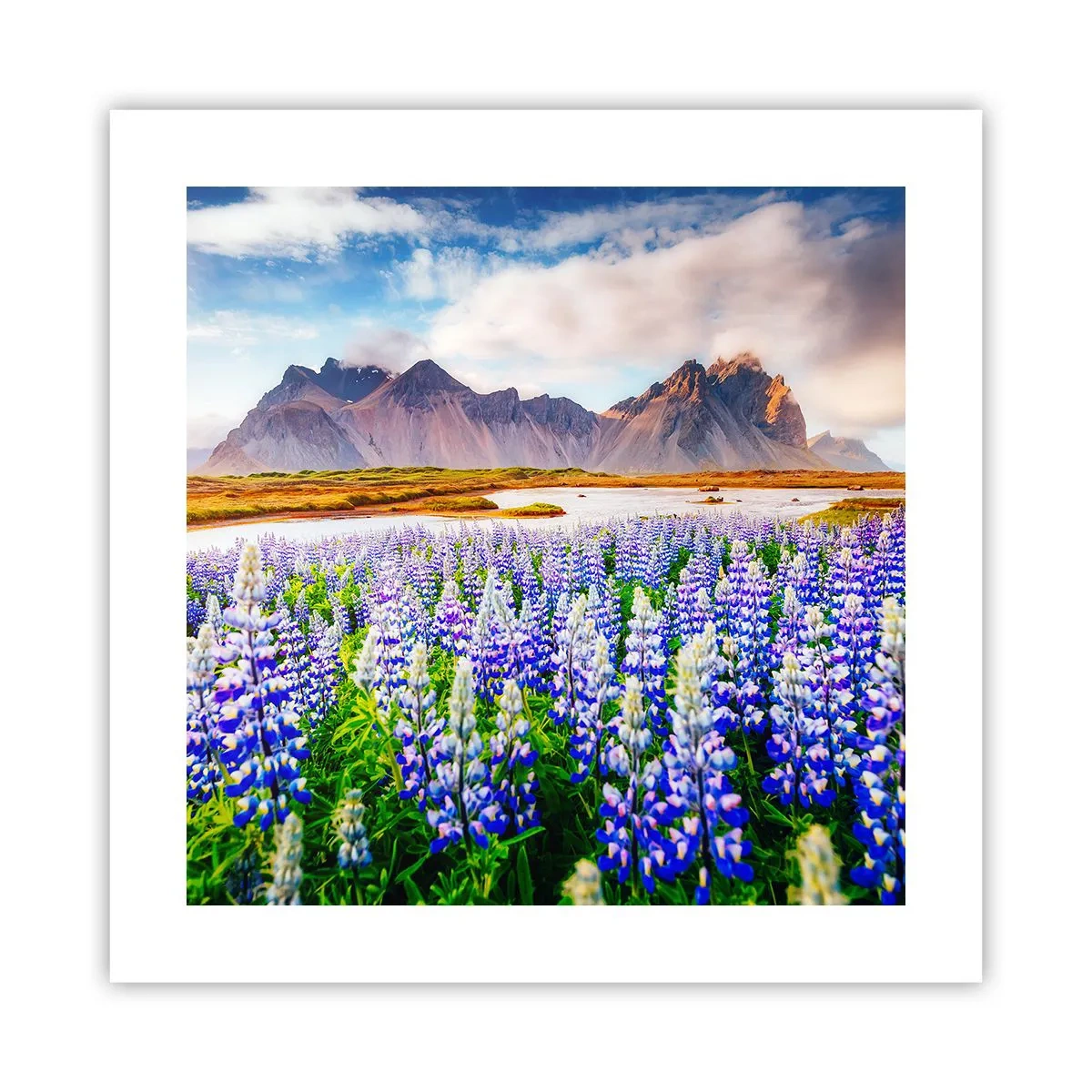 Poster - Kraft und Strenge neben Sanftmut - 40x40 cm