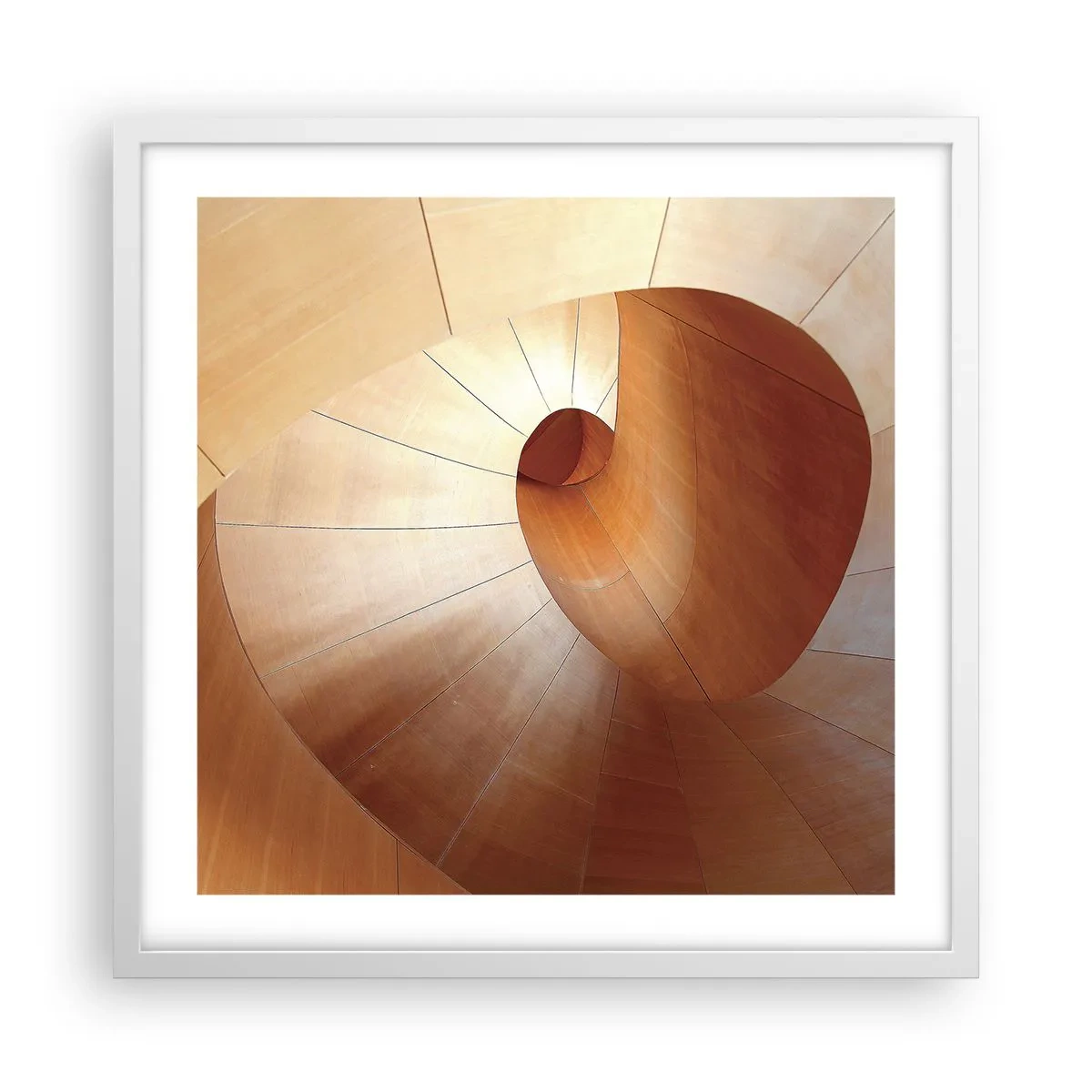 Poster in einem weißen Rahmen - Architektonische Serpentine - 50x50 cm