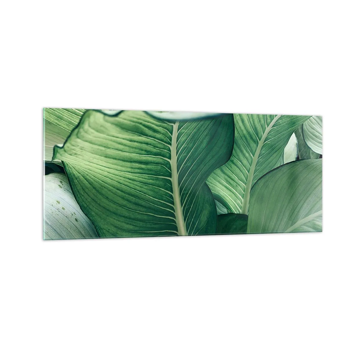 Glasbild - Bild auf glas - Intensiv grünes Leben - 100x40 cm