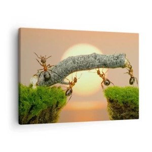 Bild auf Leinwand - Leinwandbild - Ameisen bauen vor dem Hintergrund der untergehenden Sonne eine Brücke aus Ästen. - 70x50cm - Glücklich, zusammen arbeiten - Moderne Wanddekoration für Wohnzimmer und Schlafzimmer ARTTOR