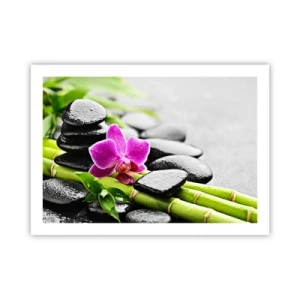 Poster - In ruhiger Balance - 70x50 cm