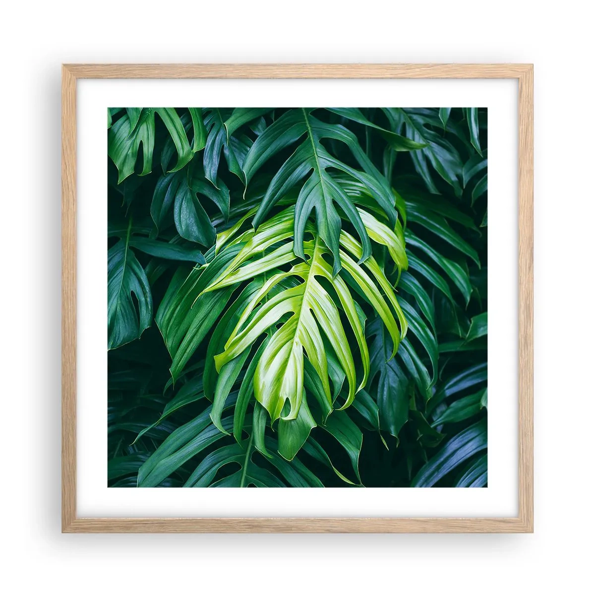 Poster in einem Rahmen aus heller Eiche - Tauchen Sie ein in die Frische - 50x50 cm