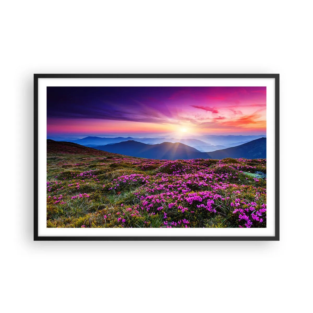 Poster in einem schwarzem Rahmen - Kräuter dufteten nach frischen Trauben von den Feldern - 91x61 cm