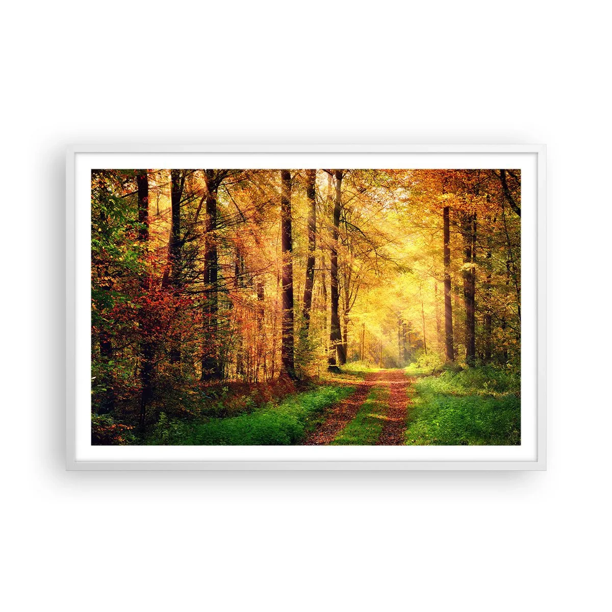 Poster in einem weißen Rahmen - Waldgoldene Stille - 91x61 cm