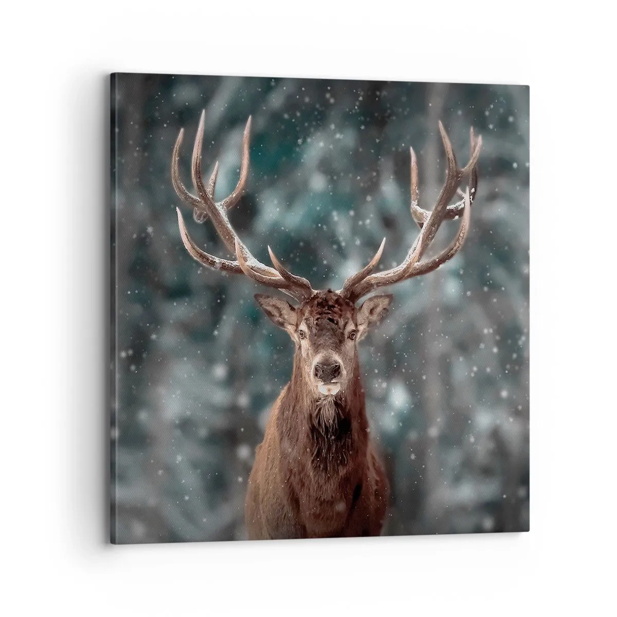Bild auf Leinwand - Leinwandbild - Gekrönter König des Waldes - 70x70 cm