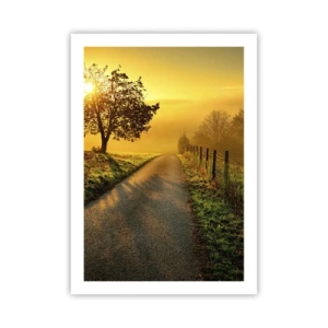 Poster - Eine Straße zwischen den Feldern bei Sonnenaufgang - 50x70cm - Honig-Nachmittag - Moderne Wanddekoration für Wohnzimmer und Schlafzimmer ARTTOR