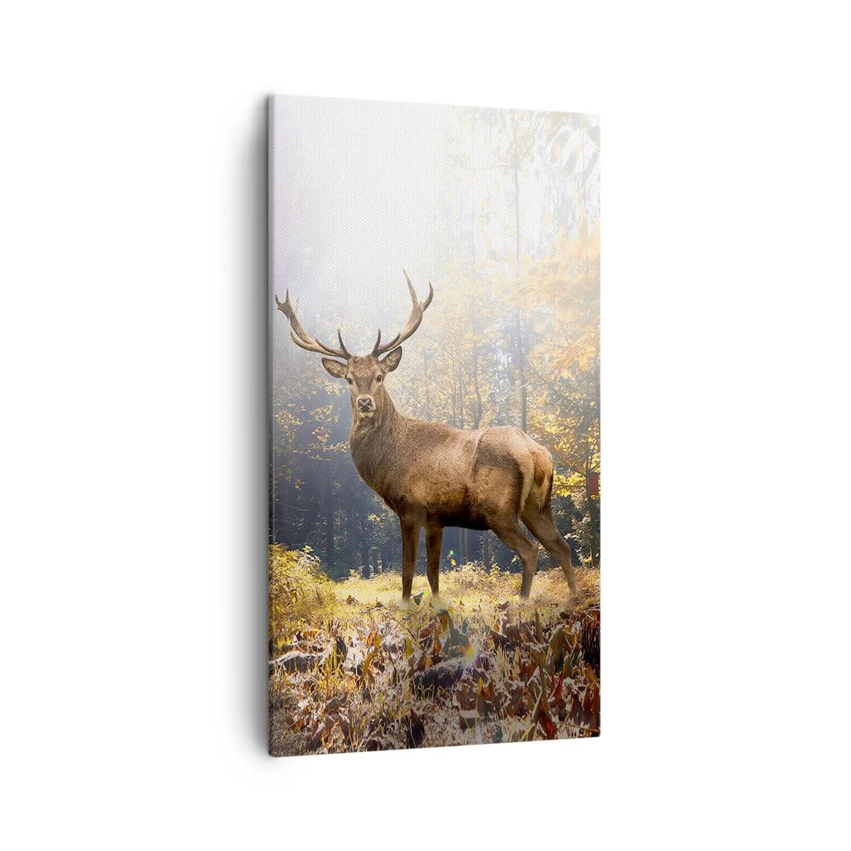 Bild auf Leinwand - Leinwandbild - In voller Majestät - 45x80 cm