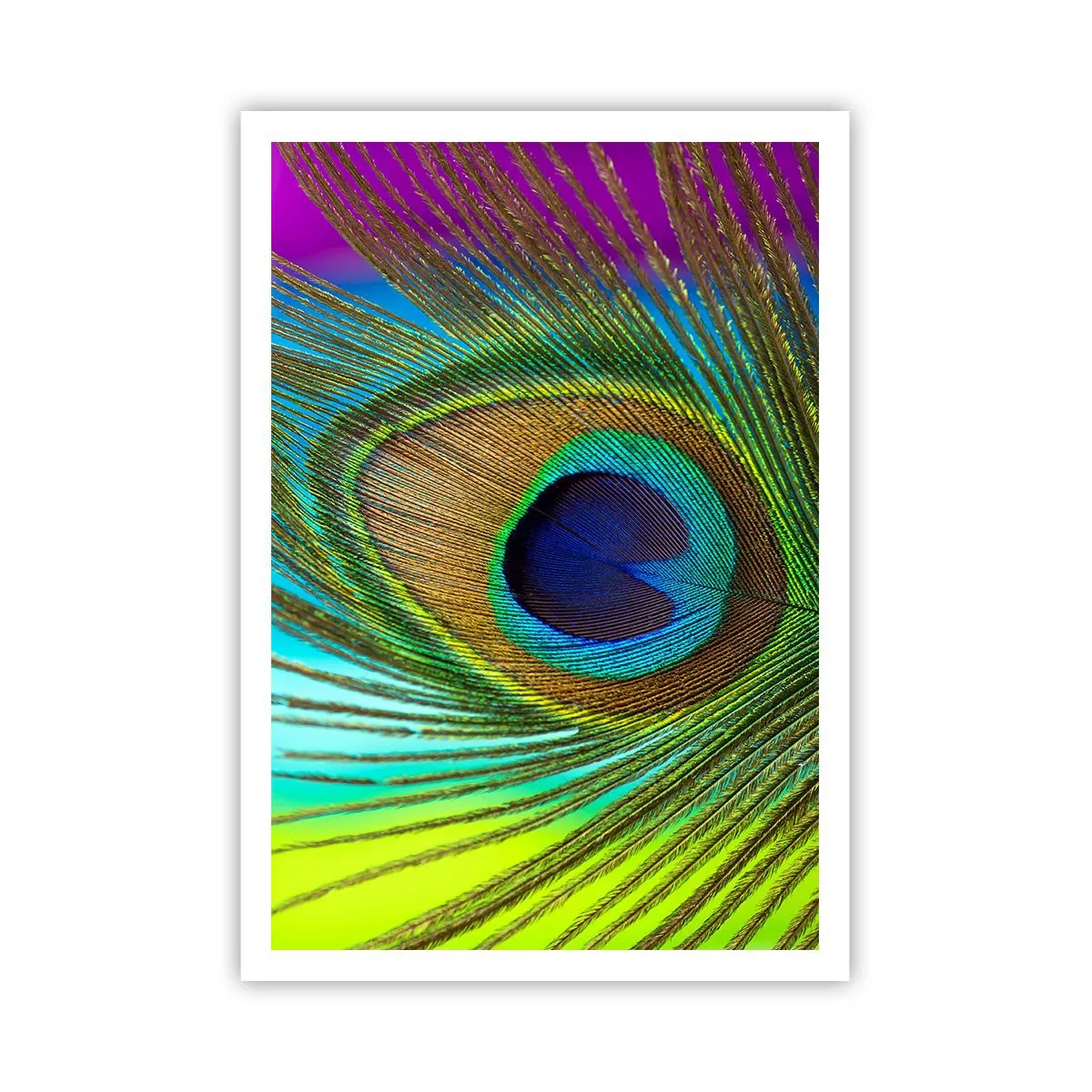 Poster - Auge in Auge - 70x100 cm
