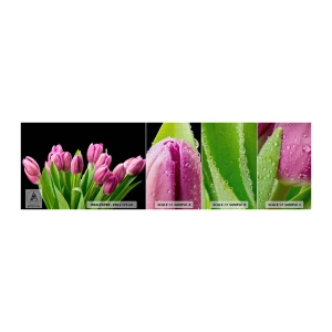 Fototapeten Muster Premium Canvas - Lila Frühlingsfreude - Blumen, Tulpen, Blumenstrauß - 100x30 cm