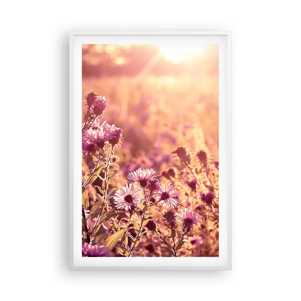 Poster in einem weißen Rahmen - Bevor der Sommer vorbei ist - 61x91 cm