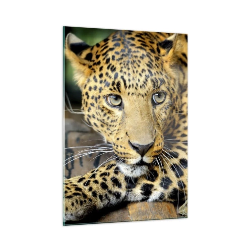 Glasbild - Bild auf glas - Leopard ruht auf einer Holzoberfläche - 50x70cm - Keine Angst, komm mal her - Moderne Wanddekoration für Wohnzimmer und Schlafzimmer ARTTOR