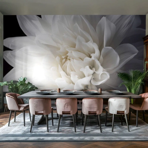 Fototapete Premium Canvas - Der Morgen der Braut - Blume, Dahlie, Natur - 200x140 cm