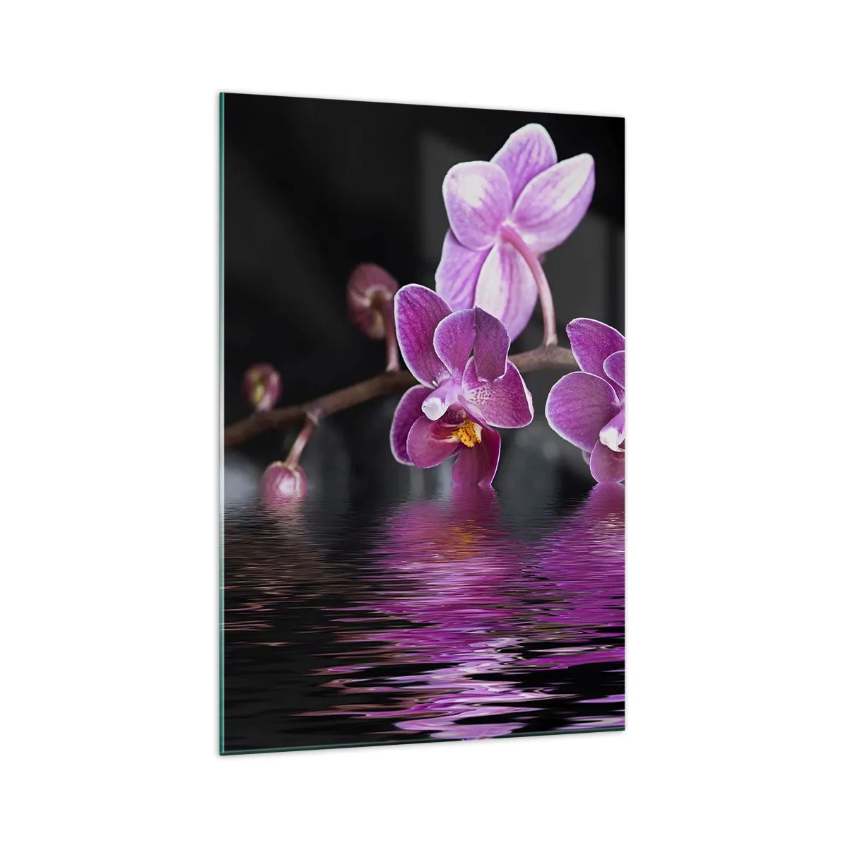 Glasbild - Bild auf glas - Lila Orchideen über ruhigem Wasser vor schwarzem Hintergrund - 70x100cm - Lila Spiegelbild der Schönheit - Moderne Wanddekoration für Wohnzimmer und Schlafzimmer ARTTOR
