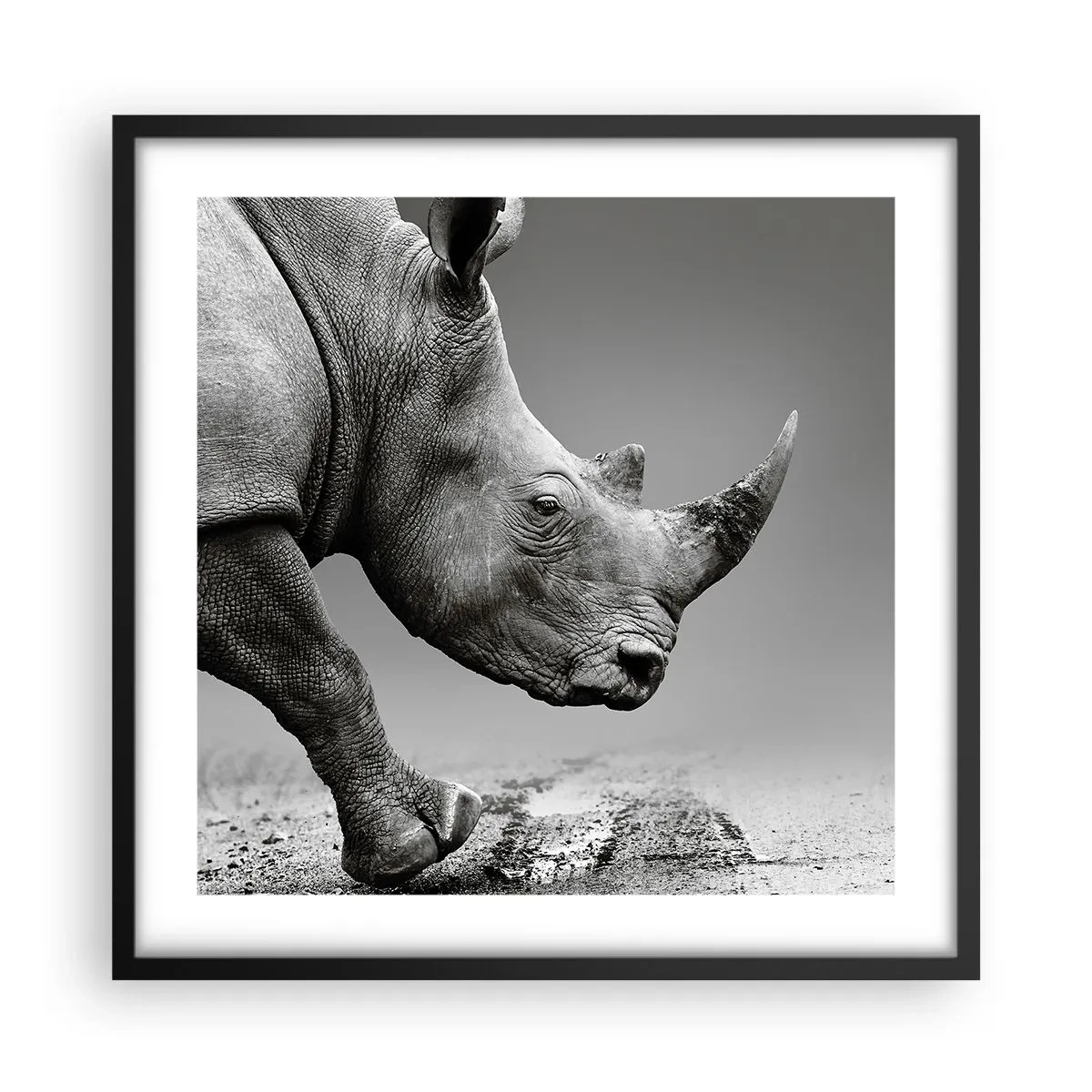Poster in einem schwarzem Rahmen - Unaufhaltsame Stärke - 50x50 cm
