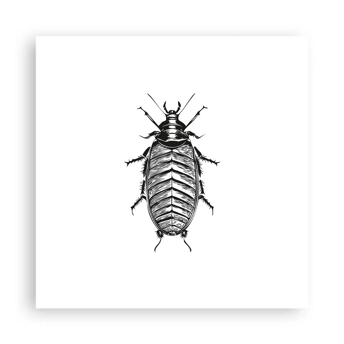 Poster - Was für ein Exemplar! - 40x40 cm