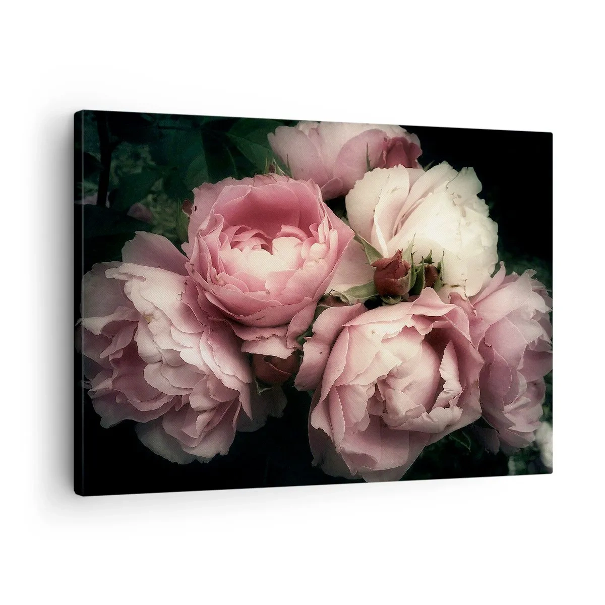 Bild auf Leinwand - Leinwandbild - Ein Strauß Rosen in zarten Rosa- und Weißtönen - 70x50cm - Der Charme der Belle Epoque - Moderne Wanddekoration für Wohnzimmer und Schlafzimmer ARTTOR
