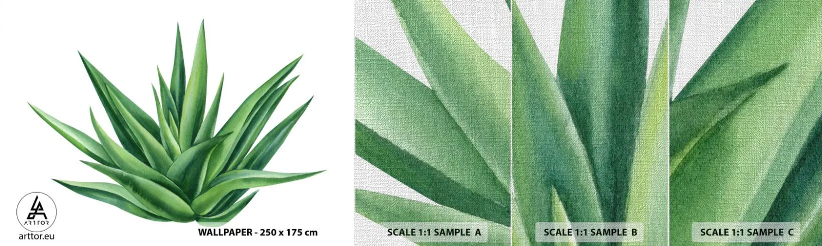 Fototapeten Muster Premium Canvas - Grün – Kraft – Leben - Anlage, Aloe, Botanik - 100x30 cm