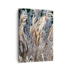 Bild auf Leinwand - Leinwandbild - Winterliche Grashalme mit Frost bedeckt vor einem dunkelgrünen Hintergrund - 50x70cm - Gekleidet mit Frost - Moderne Wanddekoration für Wohnzimmer und Schlafzimmer ARTTOR