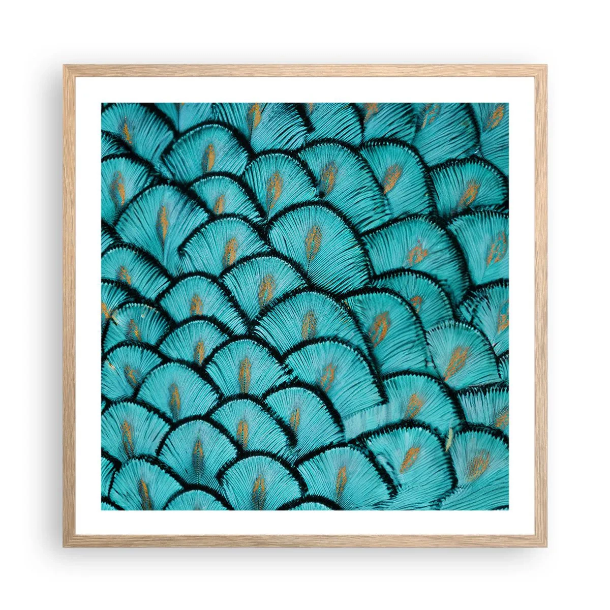 Poster in einem Rahmen aus heller Eiche - Große Federgala - 60x60 cm