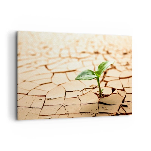 Bild auf Leinwand - Leinwandbild - Eine grüne Pflanze wächst aus trockener, rissiger Erde - 120x80cm - Die unbezähmbare Kraft des Lebens - Moderne Wanddekoration für Wohnzimmer und Schlafzimmer ARTTOR