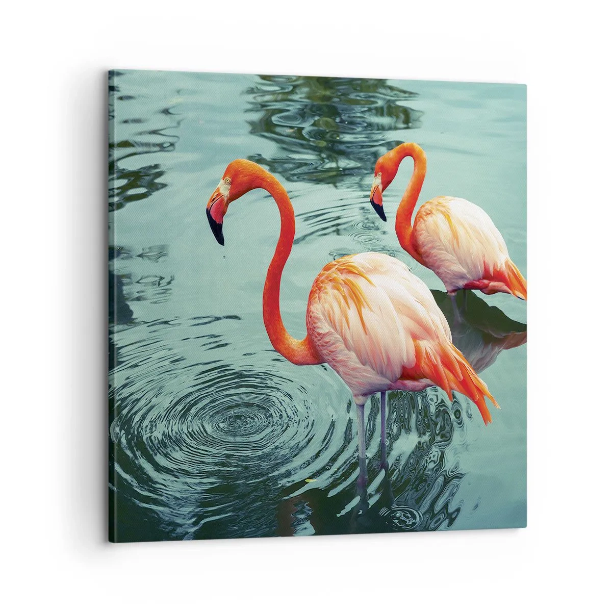 Bild auf Leinwand - Leinwandbild - Wir sind jetzt in Mode - 60x60 cm