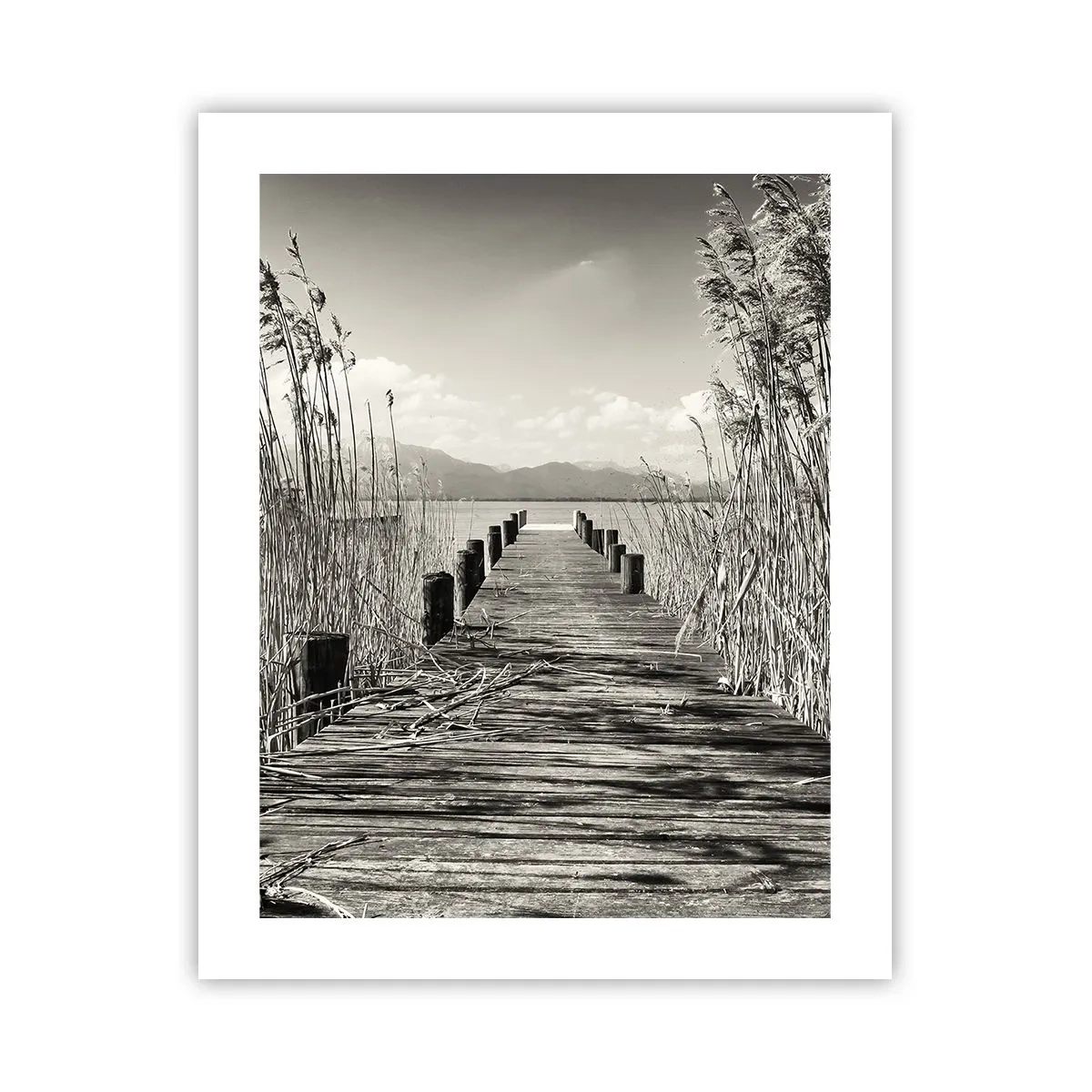 Poster - In der Stille des Grases - 40x50 cm