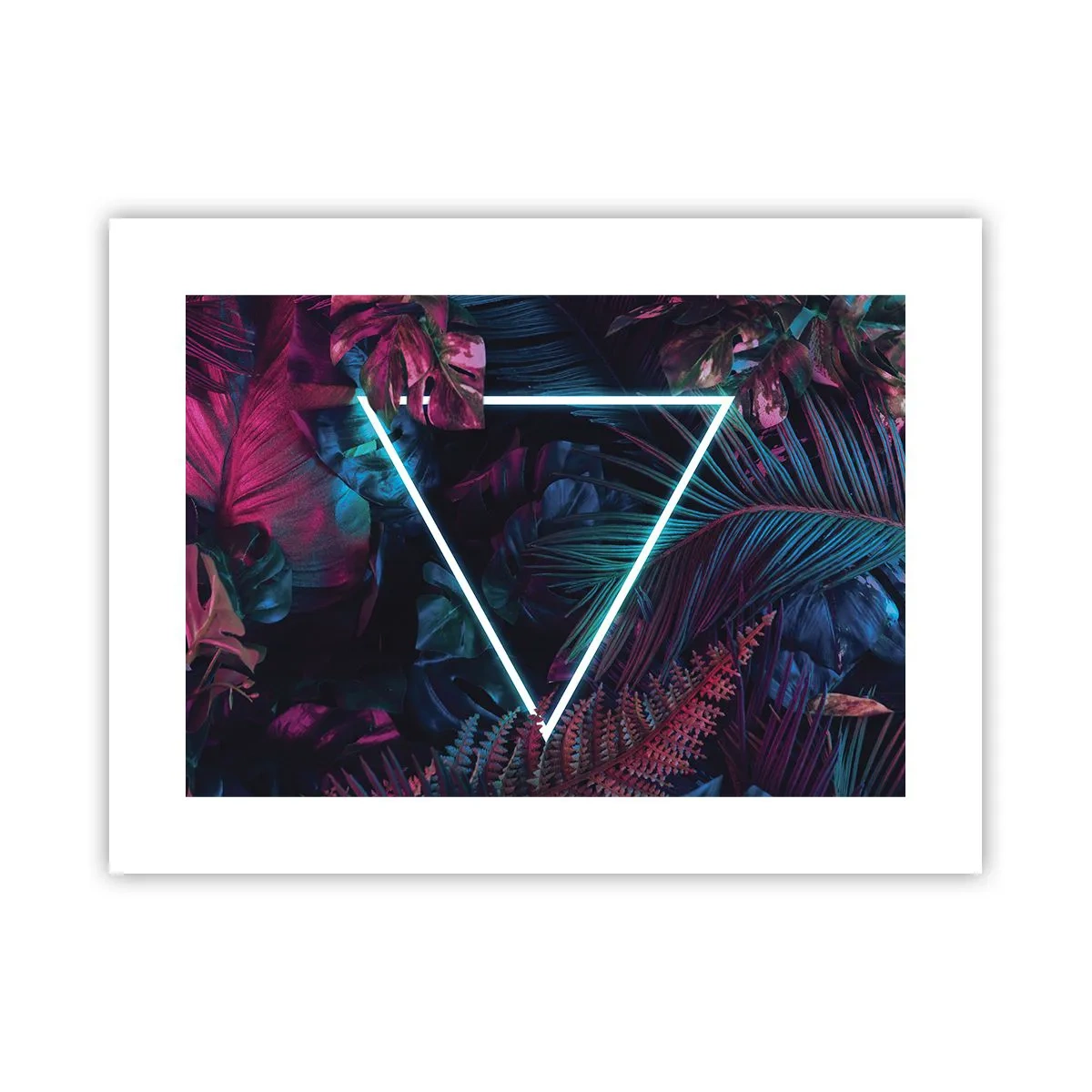 Poster - Garten im Disco-Stil - 40x30 cm