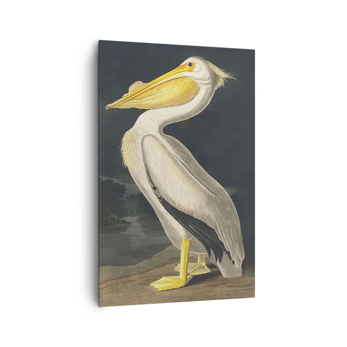 Bild auf Leinwand - Leinwandbild - Voller Stolz - 80x120 cm