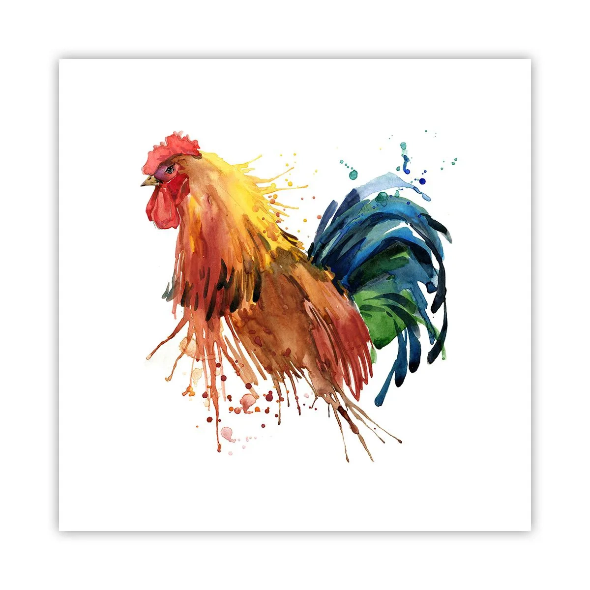 Poster - Königliches Gewand, königlicher Stolz - 50x50 cm