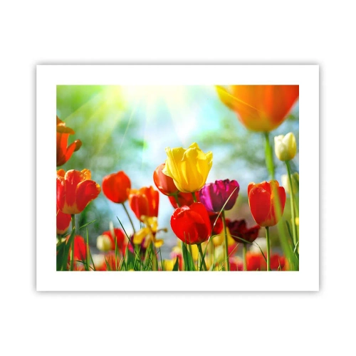 Poster - Alle Farben der Sonne - 50x40 cm
