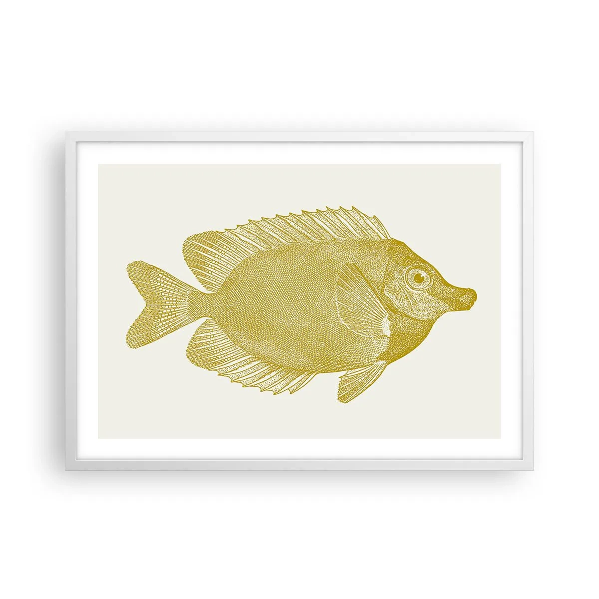 Poster in einem weißen Rahmen - Fisch und das war’s - 70x50 cm