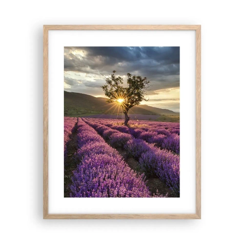 Poster in einem Rahmen aus heller Eiche - Fliederfarbenes Aroma - 40x50 cm