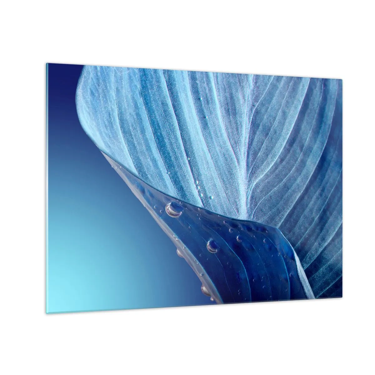 Glasbild - Bild auf glas - Ein Blatt in Blautönen mit Wassertropfen auf einem Hintergrund mit Farbverlauf. - 70x50cm - Versteckte Tropfen vom Blau - Moderne Wanddekoration für Wohnzimmer und Schlafzimmer ARTTOR
