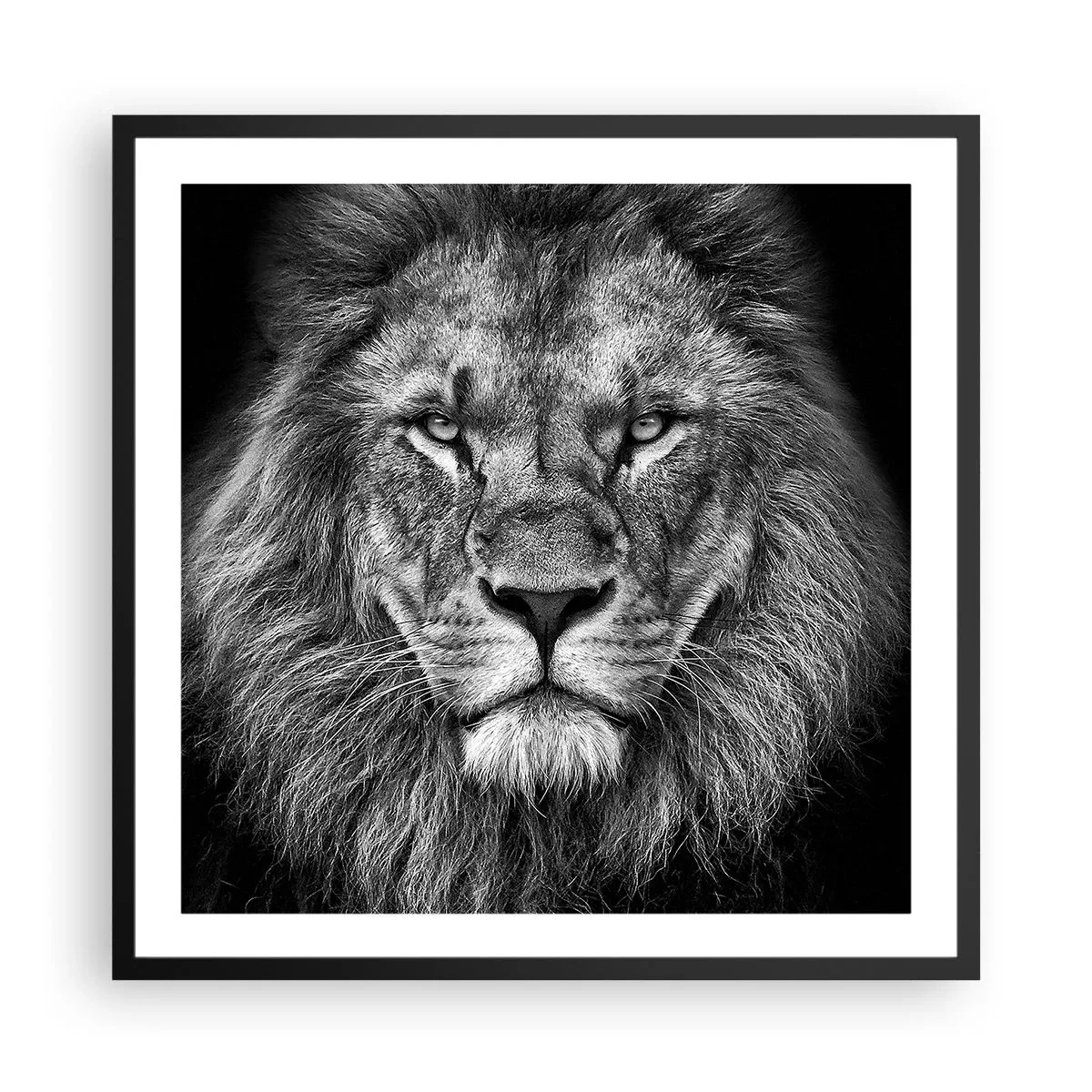 Poster in einem schwarzem Rahmen - Im Krönungsgewand - 60x60 cm