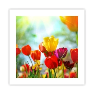 Poster - Alle Farben der Sonne - 40x40 cm