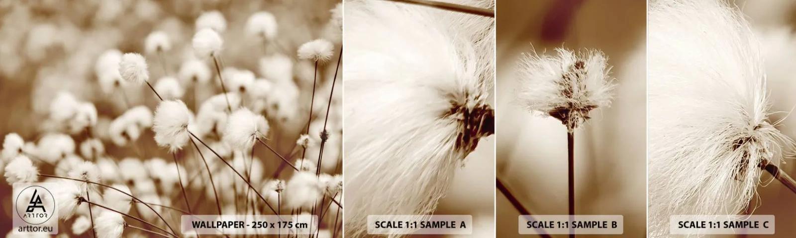 Fototapetenmuster Standard Eco - Flauschiges Kornfeld - Baumwollblume, Blume, Baumwollzweig - 100x30 cm