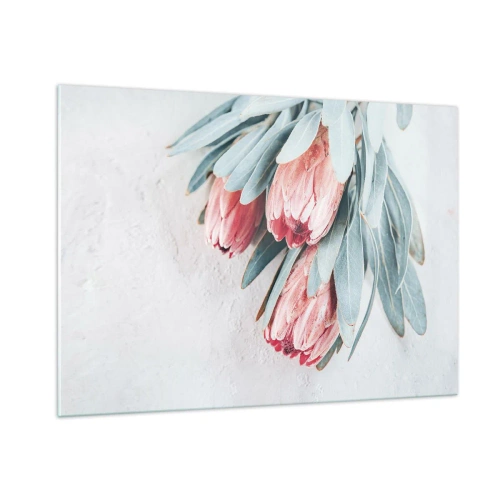 Glasbild - Bild auf glas - Drei pastellfarbene Protea-Blüten mit Blättern auf hellem Hintergrund - 100x70cm - Schämen sich für ihre eigene Schönheit - Moderne Wanddekoration für Wohnzimmer und Schlafzimmer ARTTOR