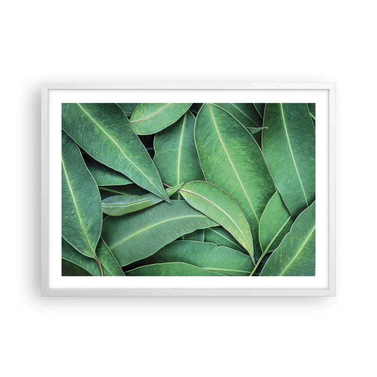 Poster in einem weißen Rahmen - Saftig und frisch - 70x50 cm