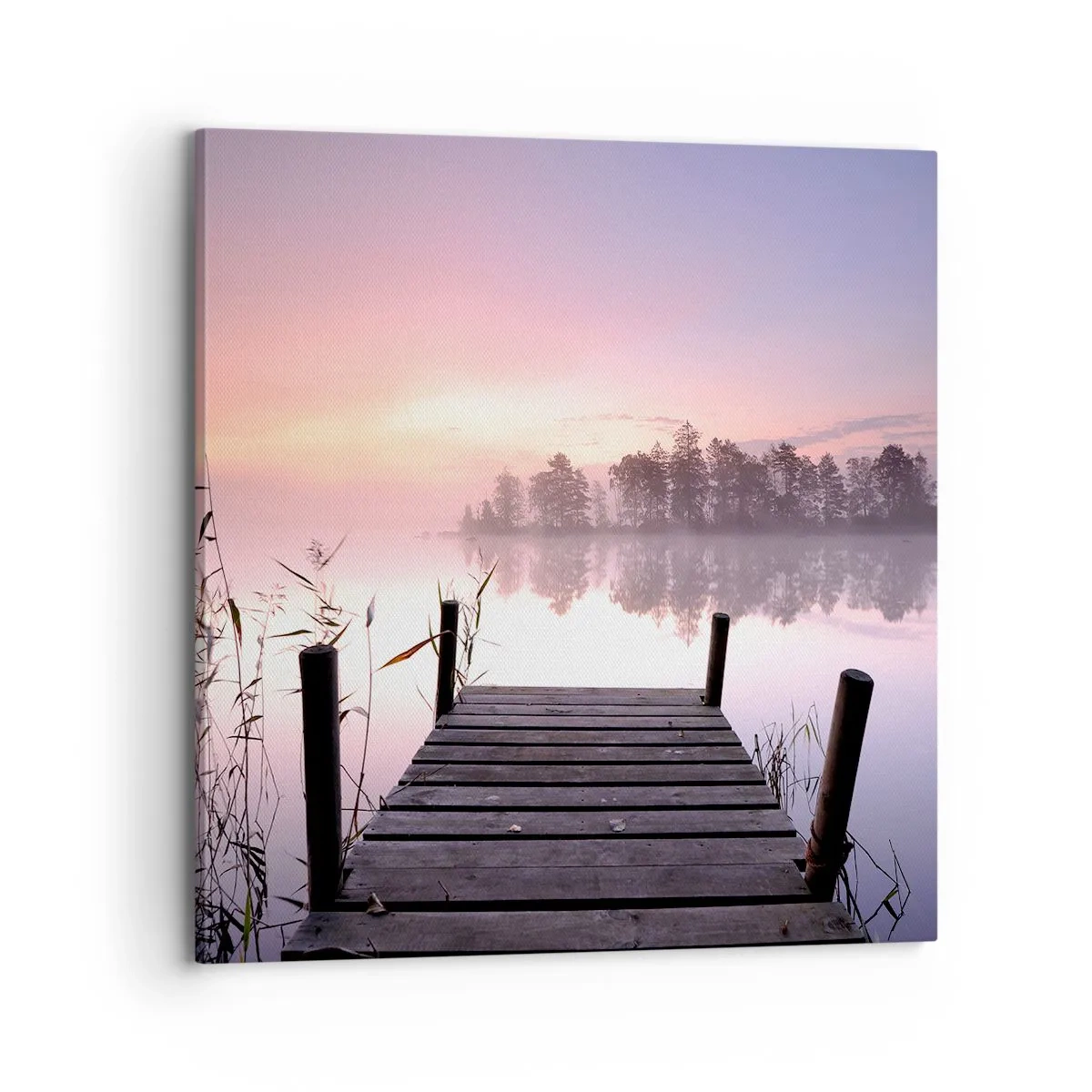 Bild auf Leinwand - Leinwandbild - Aus dem lila Nebel ... - 70x70 cm