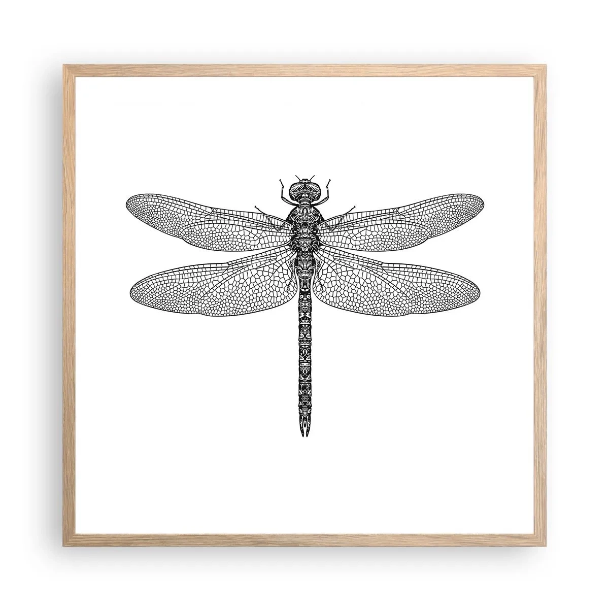 Poster in einem Rahmen aus heller Eiche - Präzision der Natur - 60x60 cm