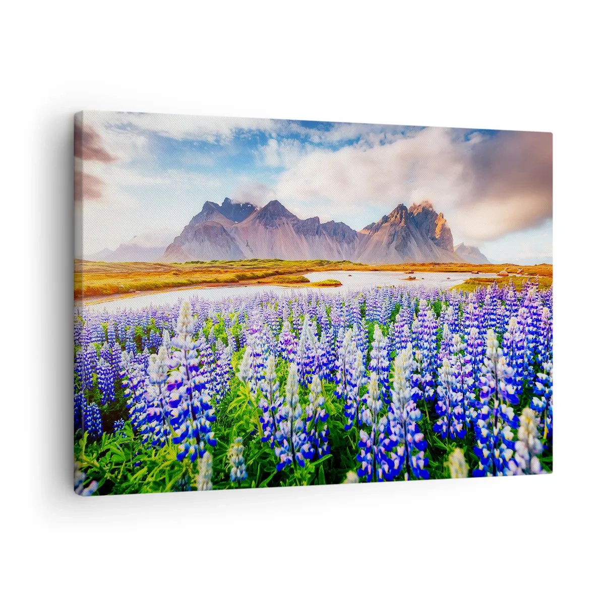 Bild auf Leinwand - Leinwandbild - Blumen in einer Berglandschaft mit malerischem Himmel - 70x50cm - Kraft und Strenge neben Sanftmut - Moderne Wanddekoration für Wohnzimmer und Schlafzimmer ARTTOR