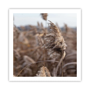 Poster - Zeit, mit dem Wind zu gehen - 60x60 cm