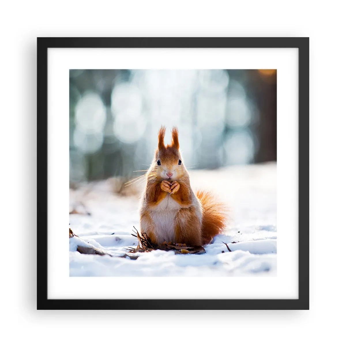 Poster in einem schwarzem Rahmen - Wo schaust du hin? - 40x40 cm