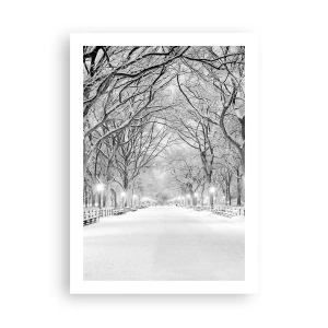 Poster - Eine winterliche Allee mit schneebedeckten Bäumen im Park - 50x70cm - Vier Jahreszeiten - Winter - Moderne Wanddekoration für Wohnzimmer und Schlafzimmer ARTTOR