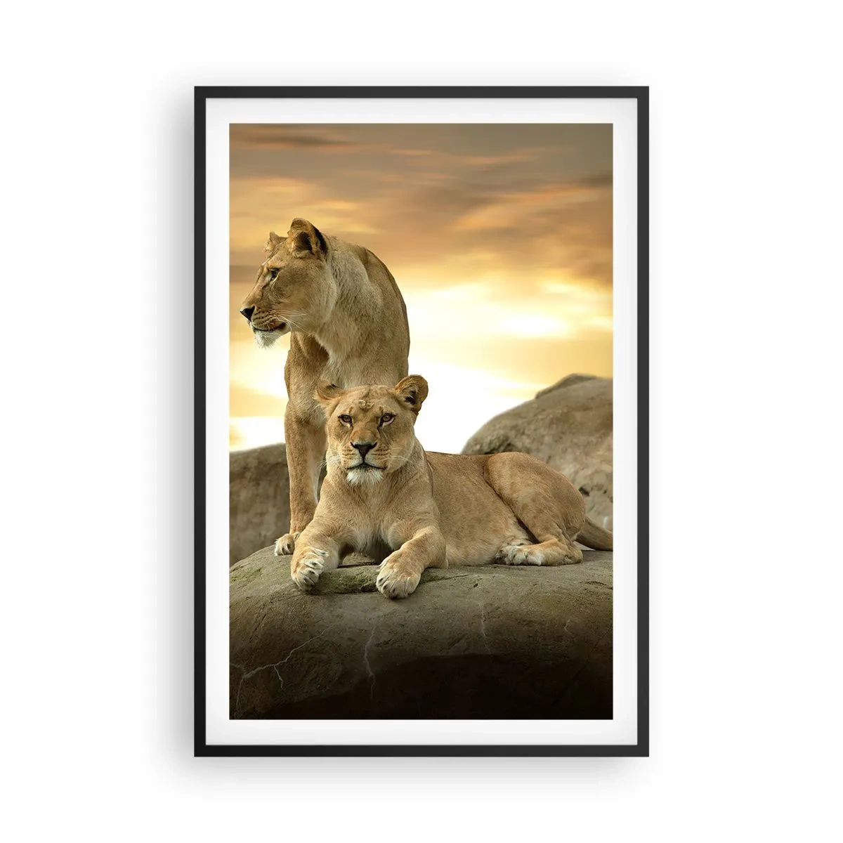 Poster in einem schwarzem Rahmen - Königliche Majestät - 61x91 cm