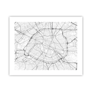 Poster - Pariser Blume - 50x40 cm