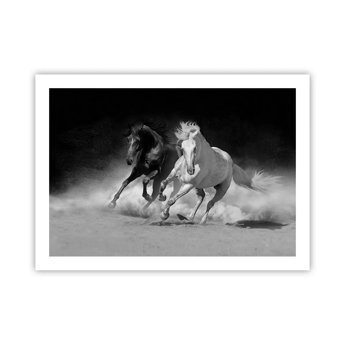 Poster - Galopp der Freiheit - 70x50 cm