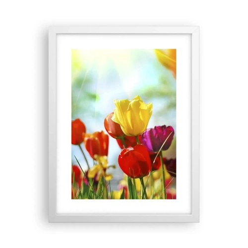 Poster in einem weißen Rahmen - Alle Farben der Sonne - 30x40 cm