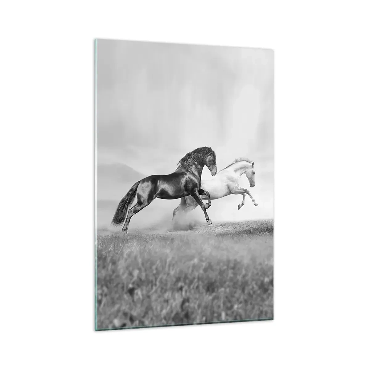 Glasbild - Bild auf glas - Zwei galoppierende Pferde in einer dynamischen Schwarz-Weiß-Komposition - 80x120cm - Engel und Dämonen - Moderne Wanddekoration für Wohnzimmer und Schlafzimmer ARTTOR